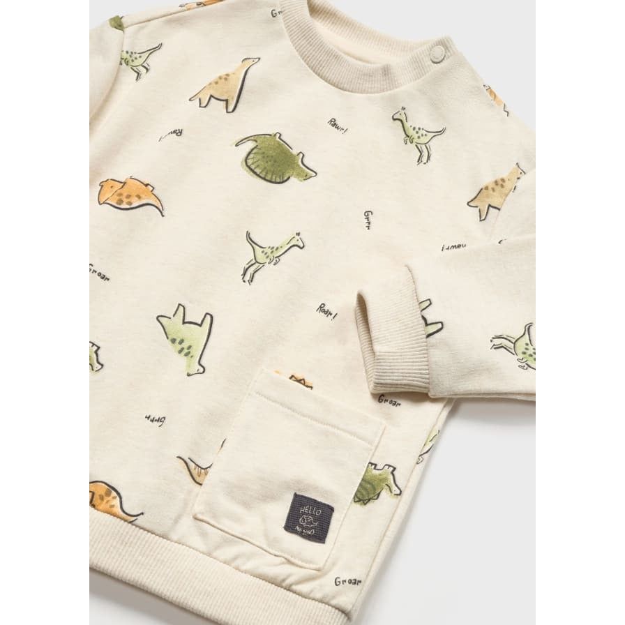 Dinosaur Print sweatshirt