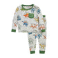 Boys' Dino Pajamas